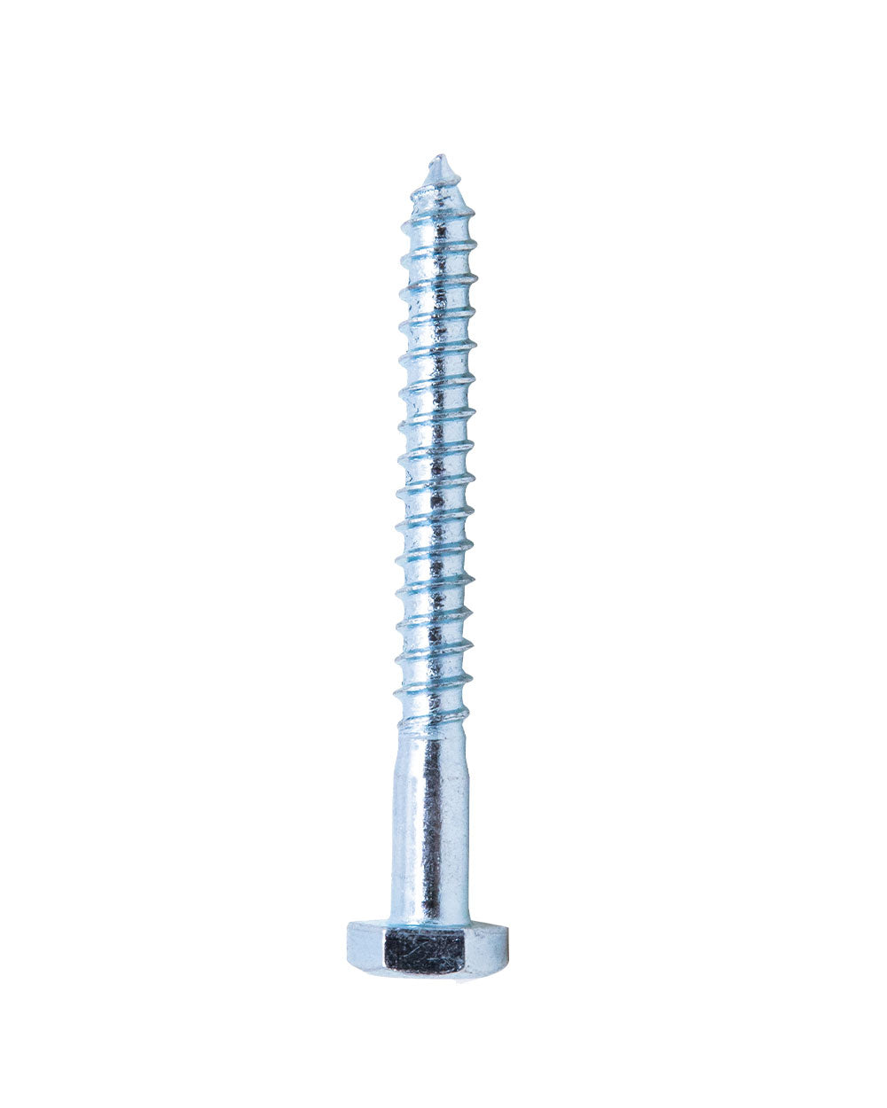 Homesmiths Coach Screw 1/4 X 2 Inch