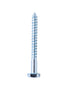 Homesmiths Coach Screw 1/4 X 2 Inch