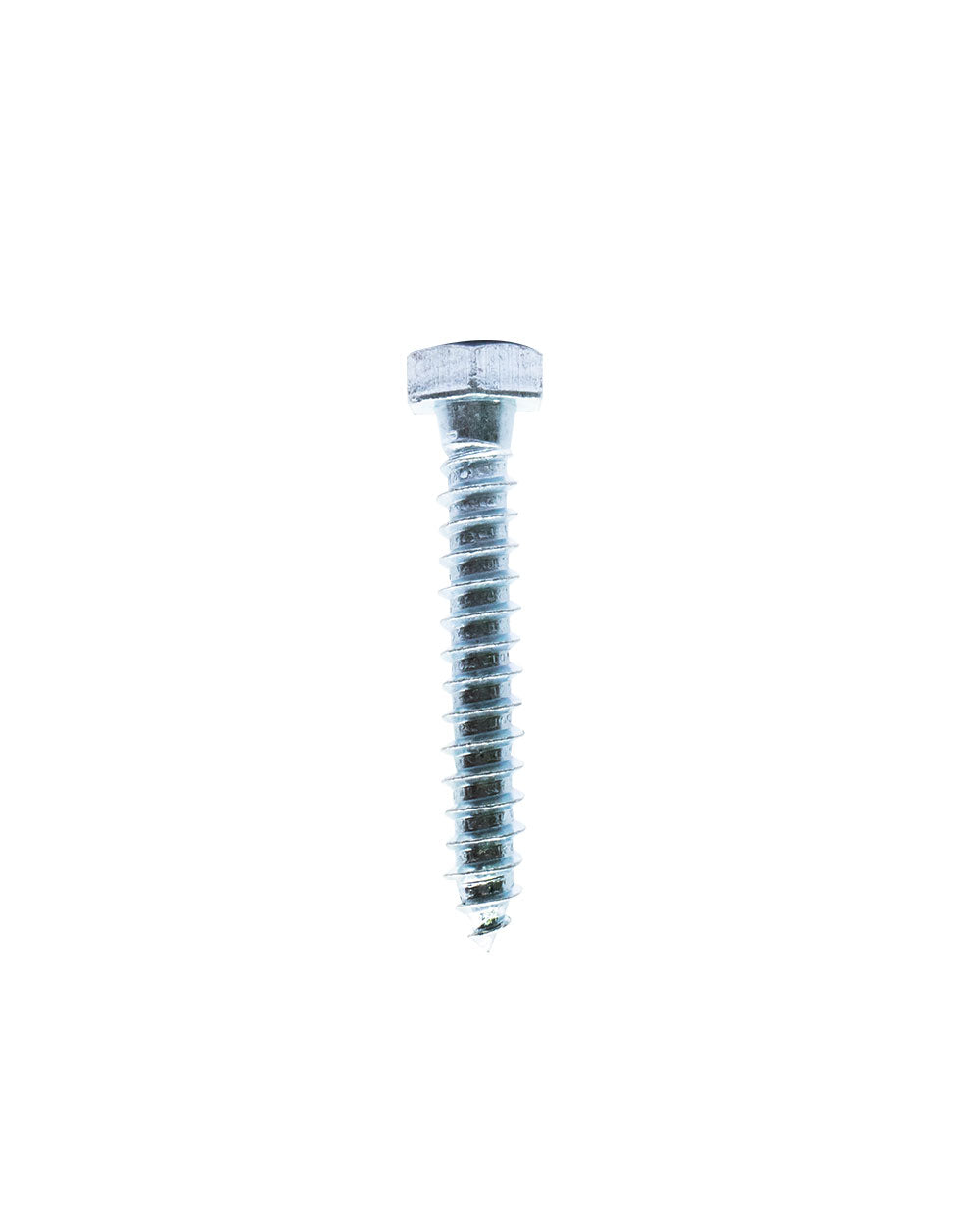 Homesmiths Coach Screw 5/16 X 2"