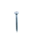 Homesmiths Coach Screw 5/16 X 2"