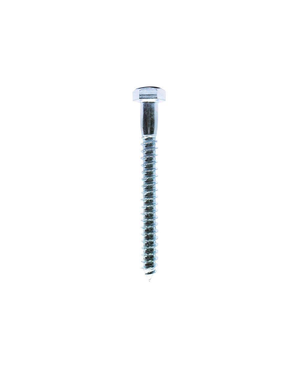 Homesmiths Coach Screw 5/16 X 3"