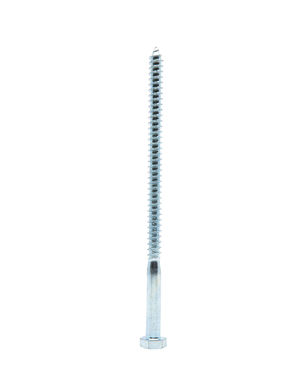 Homesmiths Coach Screw 5/16 X 6 inch