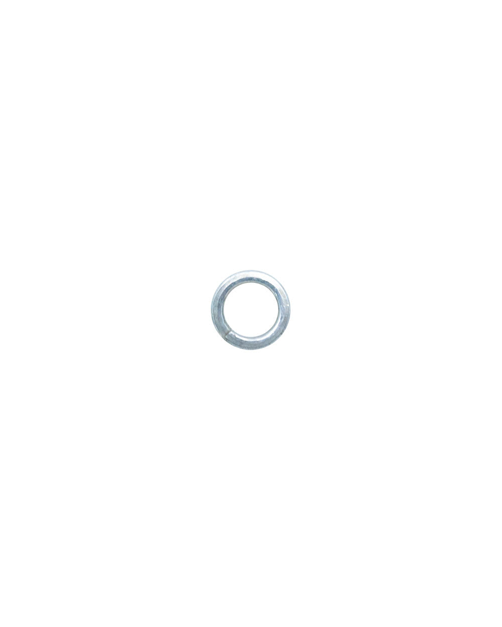 Homesmiths G.I Spring Washer 6M