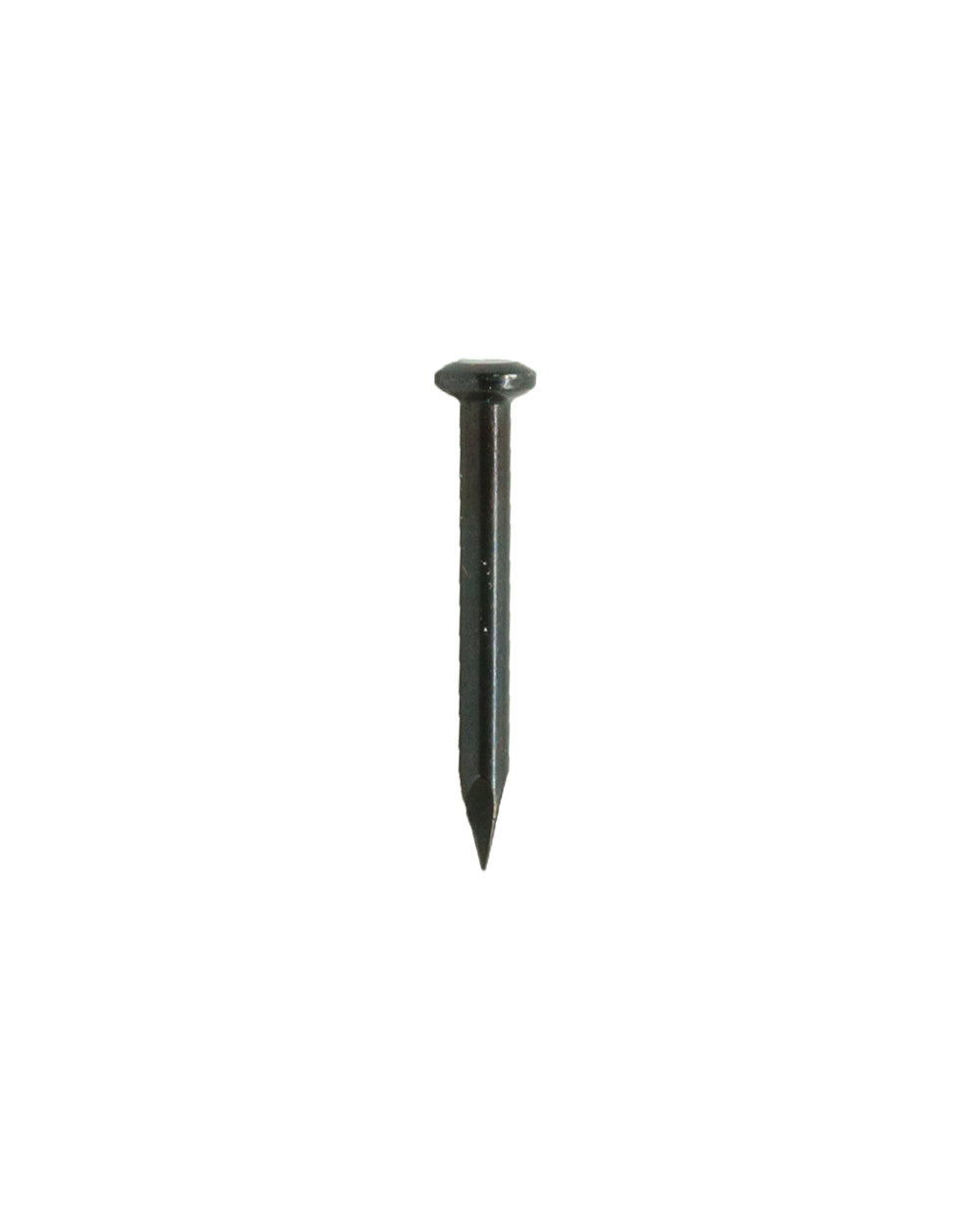 Homesmiths Concrete Black Nails 1 inch