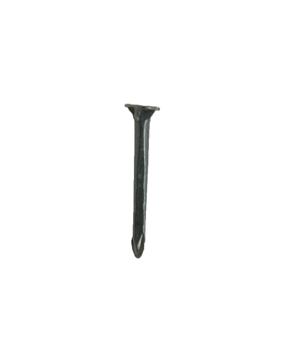 Homesmiths Shoe Tacks 0.62 inch