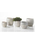 SK Alberta Flower Pot 18cm Brown