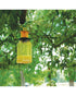 Zero In Fly Catcher Bait Refill 3 Sachets