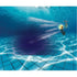 Max Liquidator Water Wiggler Light Up Divers Single