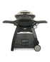 WeberElectric Grill Q 3200