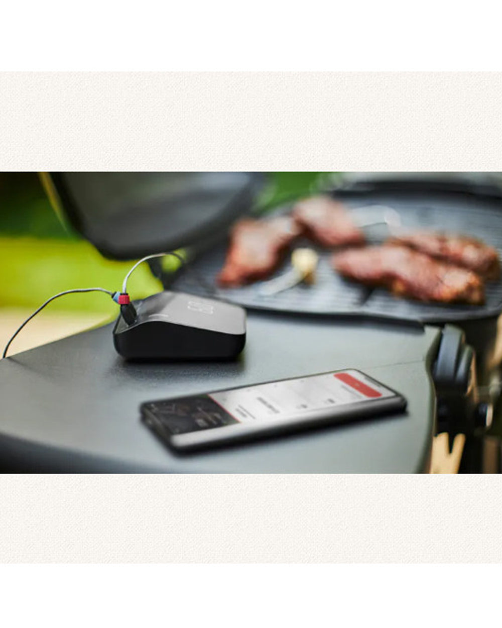 Weber Connect Smart Grilling Hub