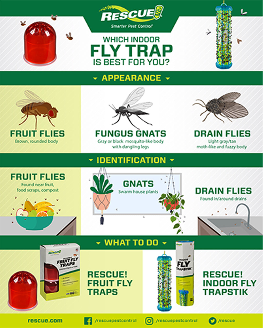 Rescue Reusable Fruit Fly Trap