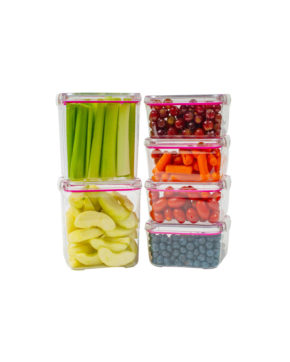 Visto Max 2.6 Liter Cube Storage Container with Clear Base & Lid