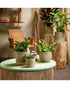 SK Maynmar Bamboo Round Planter 19cm Brown