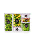 Visto Max 5.4 Liter Cube Storage Container with Clear Base & Lid