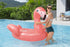 Bestway Rider Flamenco 168 X 120 cm
