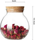 1Chase Borosilicate Glass Storage Jar With Airtight Bamboo Lid 500 ML Pack of 4