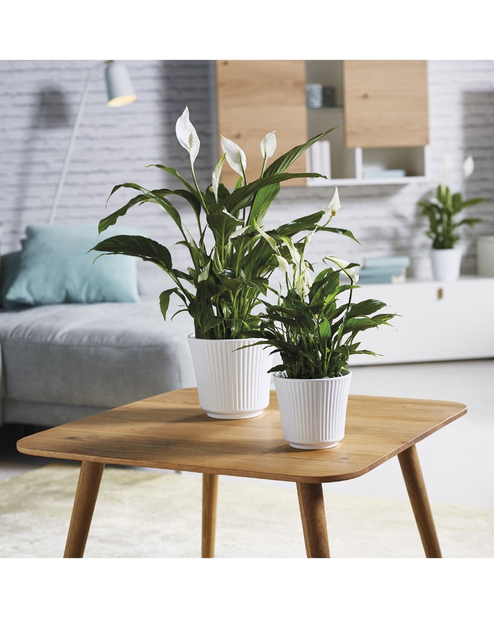 SK Delphi Flower Pot 20cm White