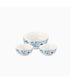 Rosa Nogoum Fruit Set of 7 Pieces