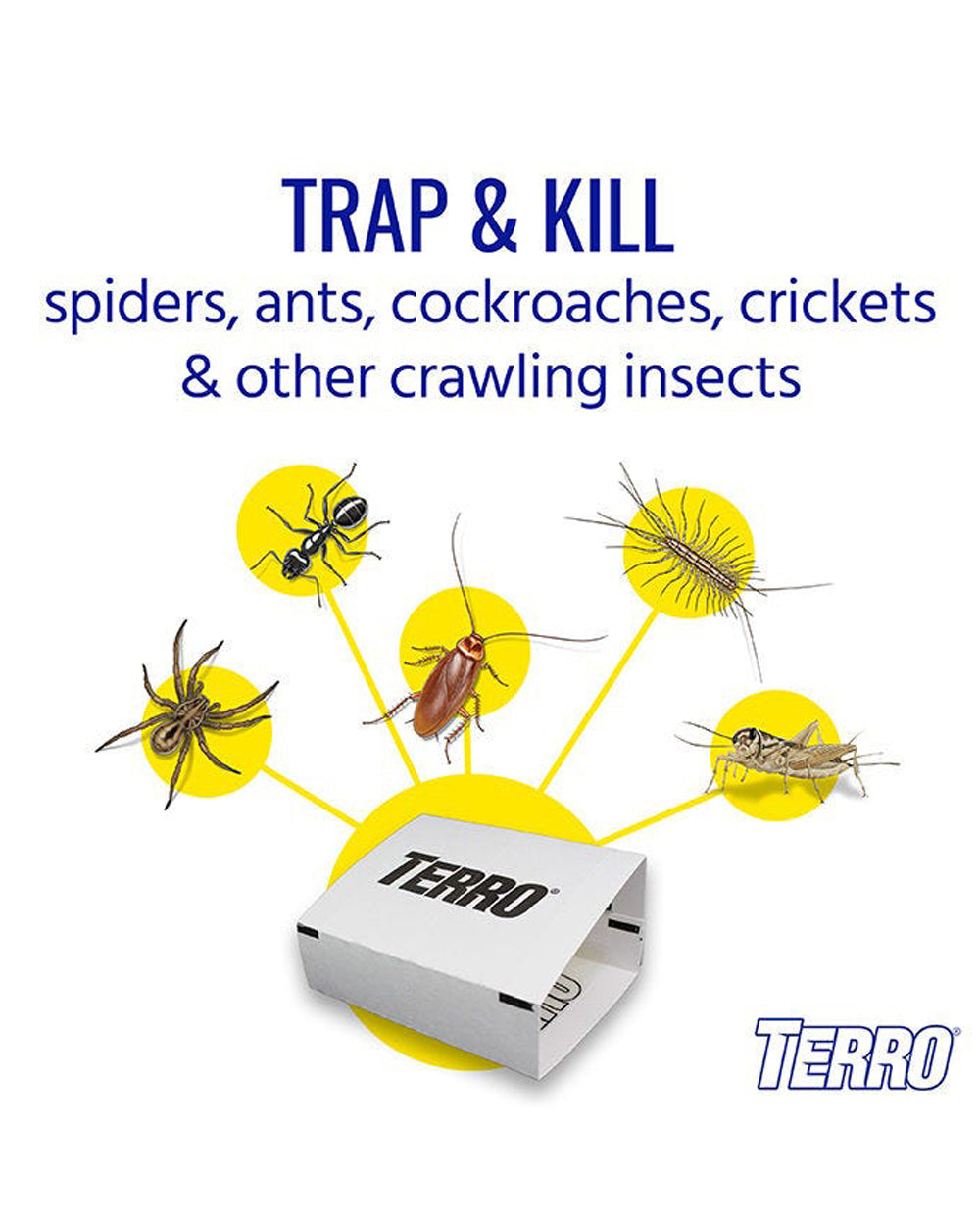 Terro Refillable Spider Trap Bundle