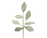 Homesmiths Spray Polyester Frosted Green 68cm