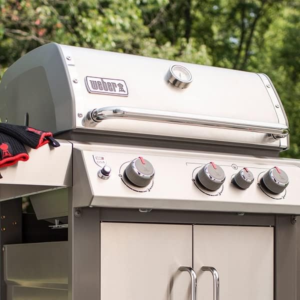 Weber 8029 12oz Grill Stainless Steel Polish, Black