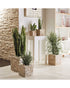 Soendgen Keramik Latina Stone Square Flower Pot 16cm Sabbia