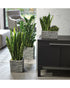 SK Latina Stone Rectangle Flower Pot 25cm Sabbia