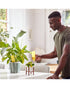 Zero In Pot Plant Bug Traps Pack of 5