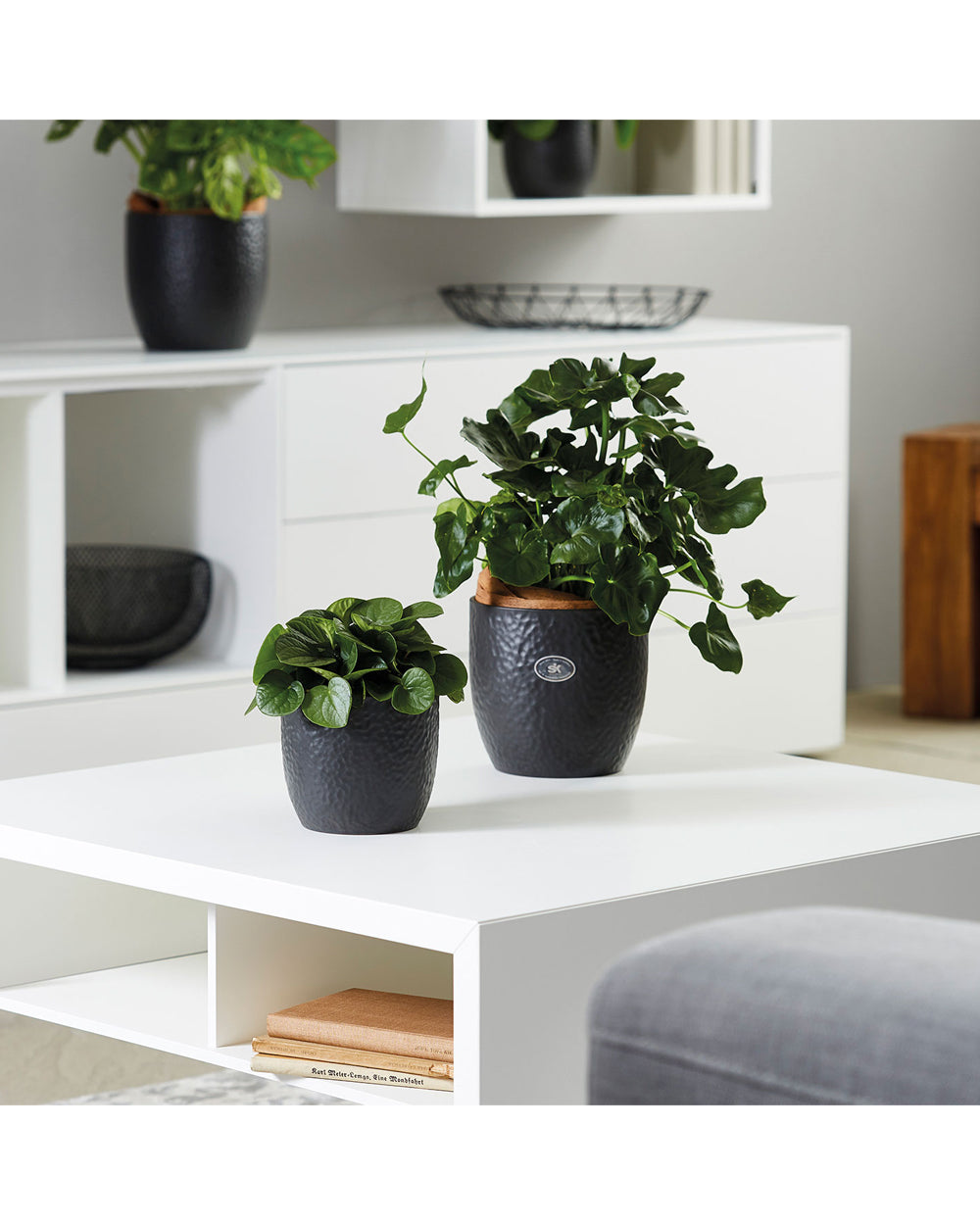 SK Boston Pot 16cm Anthracite