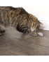 Smartykat Skitter Critters Cat Toy Catnip Mice Pack of 3