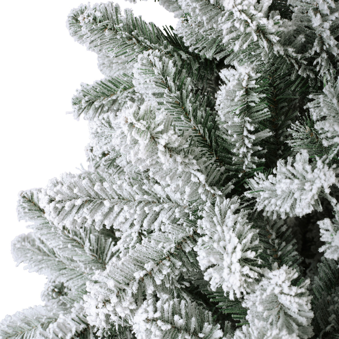 Kaemingk Monarch Pine Snowy 300cm