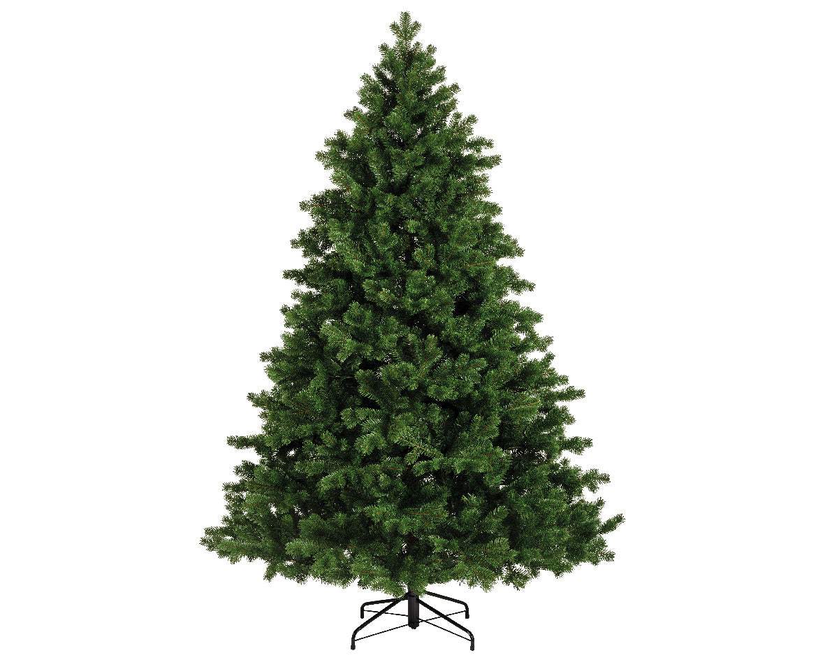 Homesmiths Hollimont Fir 300cm
