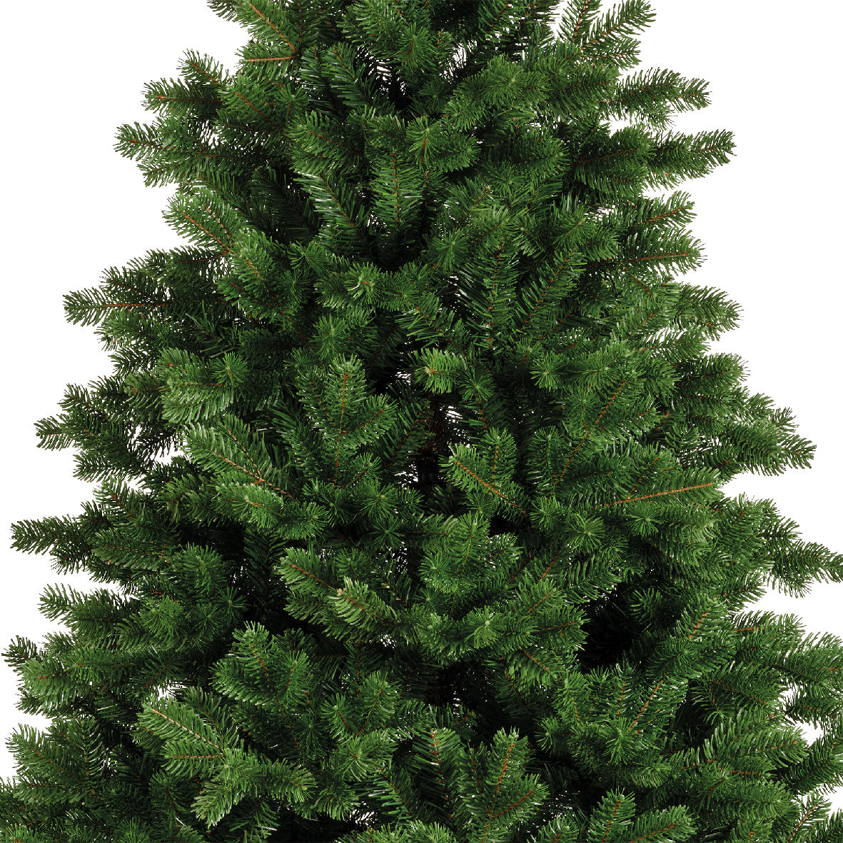 Homesmiths Hollimont Fir 300cm