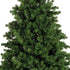 Homesmiths Hollimont Fir 300cm