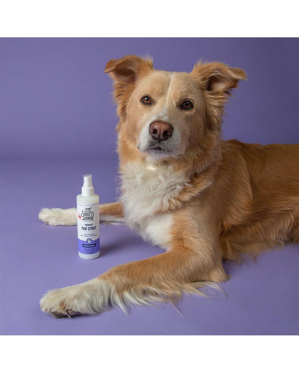 Skouts Honor 30ML Probiotic Paw Spray Wellness