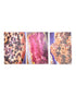 Temptations Floral Lace All-In-One Bakers Bundle of 7 Pieces