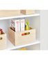 Shop The Home Edit Multi-Purpose Bin