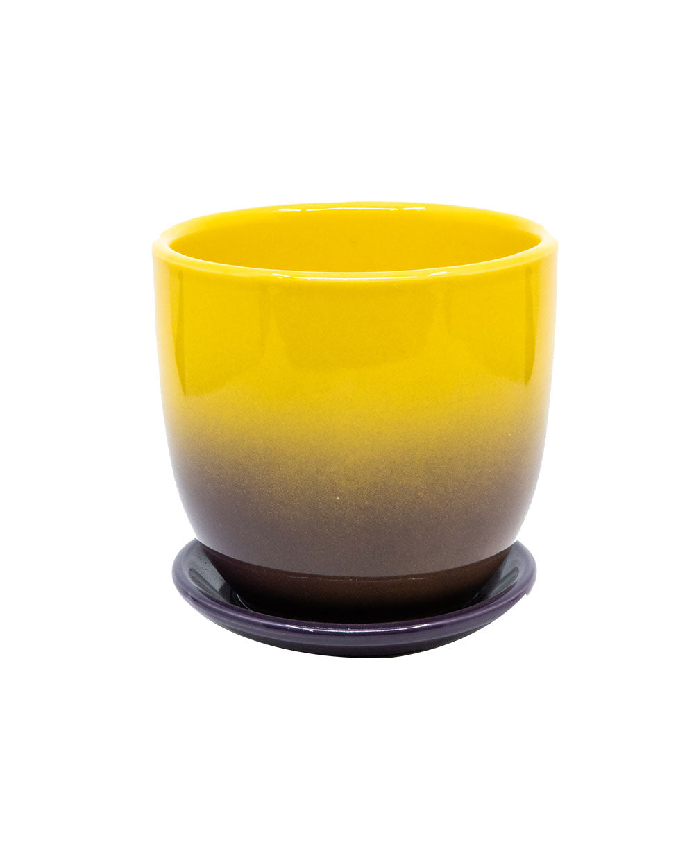 Yinggao Ceramic Pot And Saucer 12.5cm Yellow