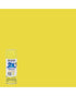 RustOleum Painter's Touch 2X UC HG SP Citrus Fields