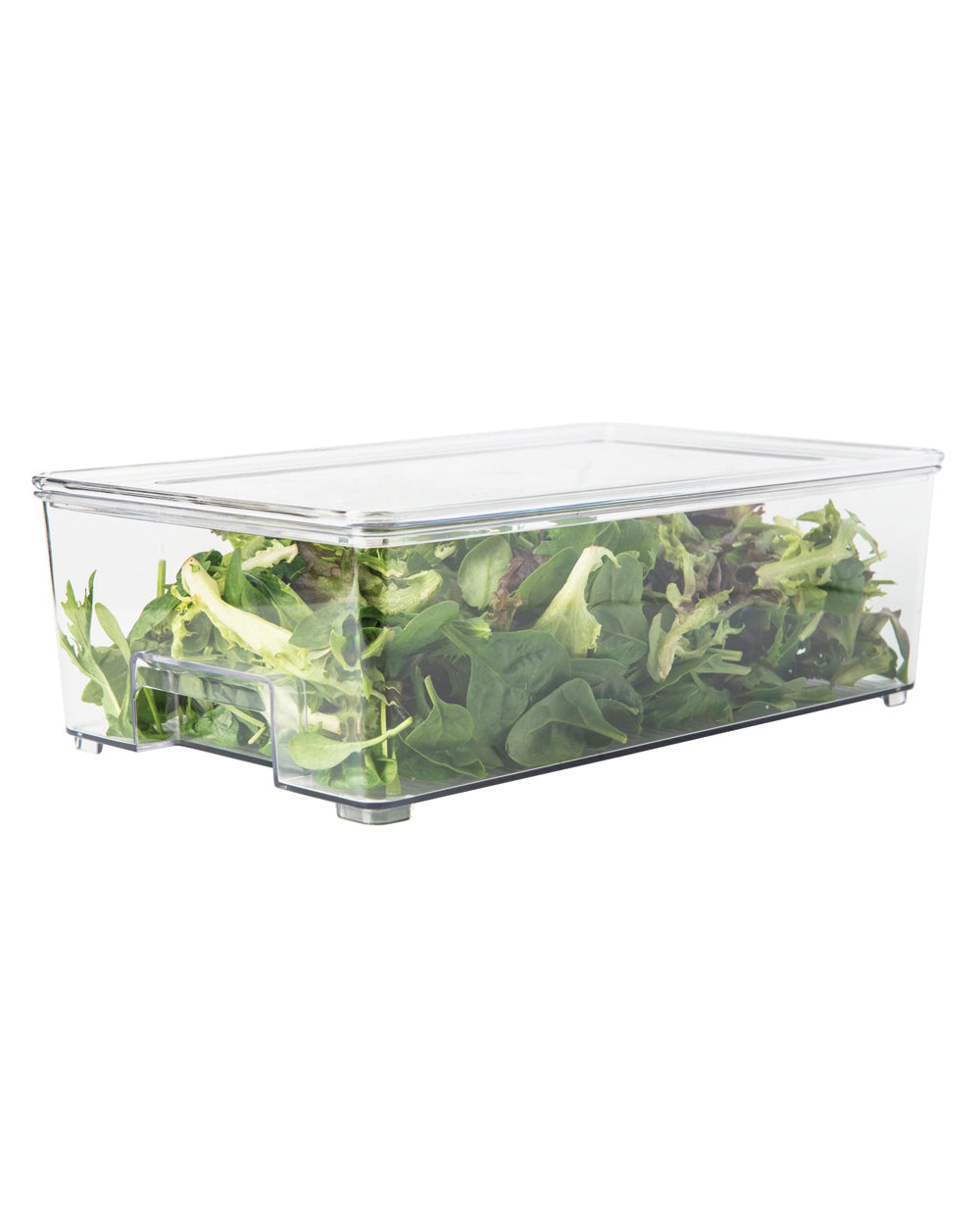 Little Storage Fridge & Pantry Large Container with lid