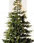Homesmiths Micro Led Tree Bunch Warm White & Classic Warm 832 Bulbs