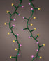 Homesmiths Led Compact Lights Multicolor 750 Bulbs