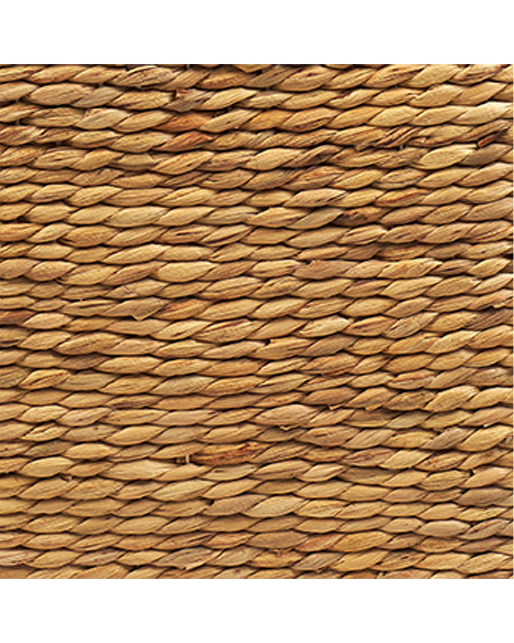 Homesmiths Water Hyacinth Storage Trunk 76 x 46 x 43 cm