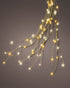 Homesmiths Decoris Micro 832 Led Tree Bunch Flashing Effect