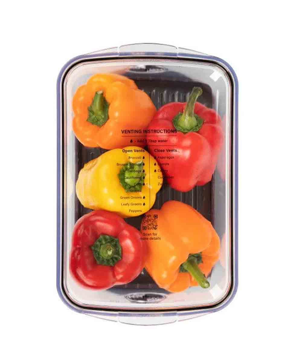 Progressive Large Produce Food Storage Prokeeper+