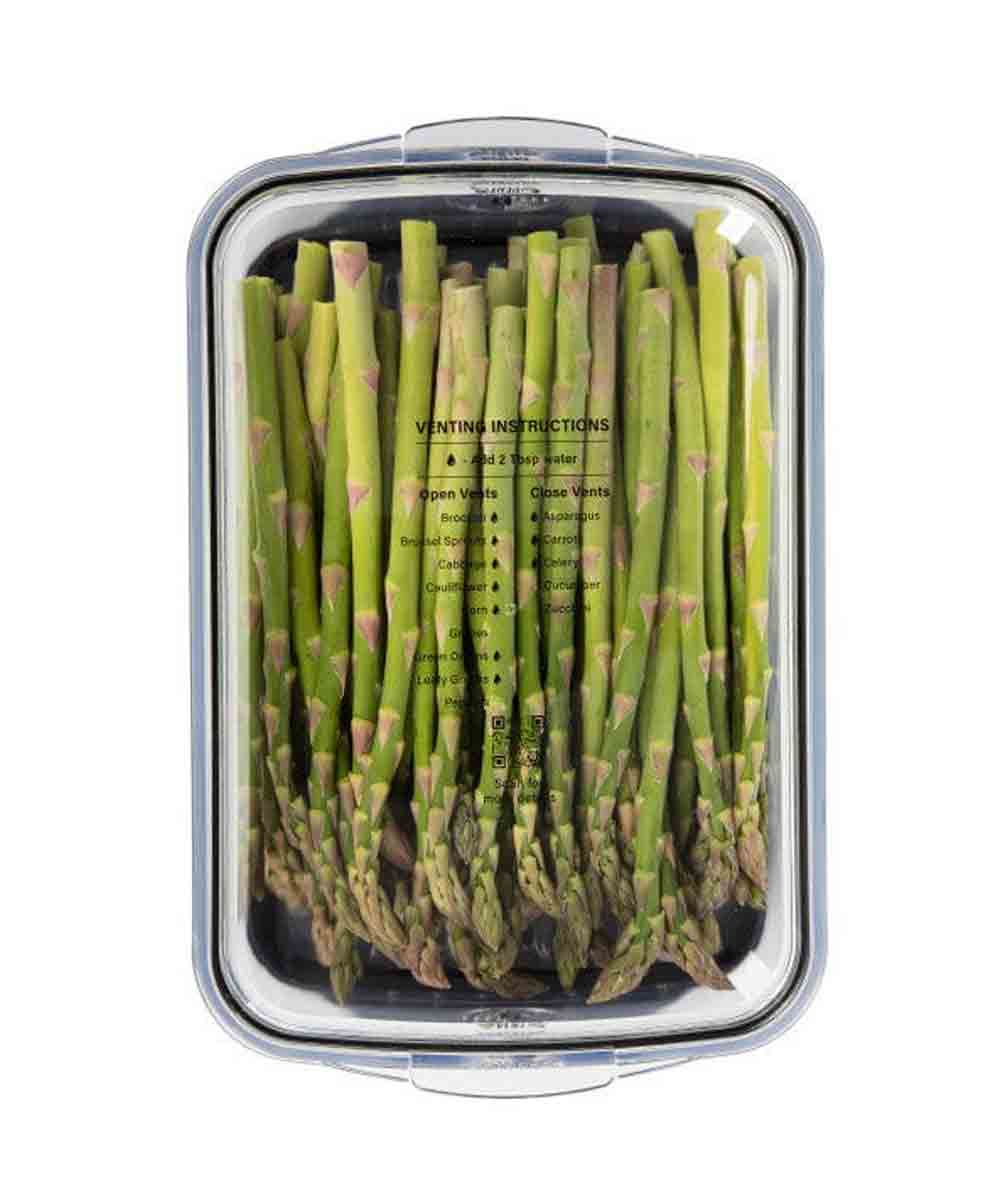 Progressive Medium Produce Food Storage Prokeeper+