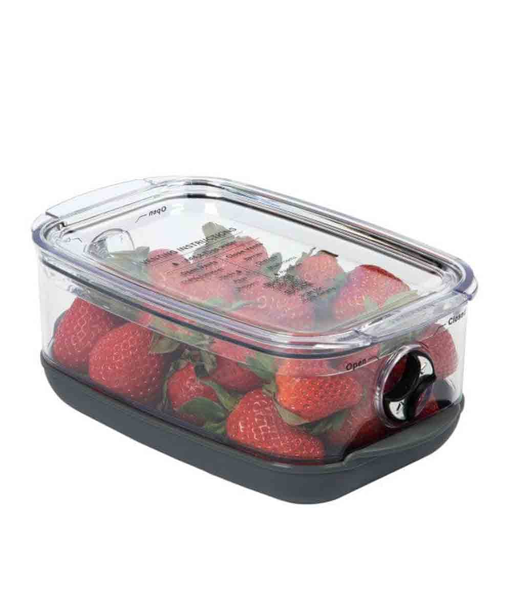 Progressive Berry Produce Food Storage Prokeeper+