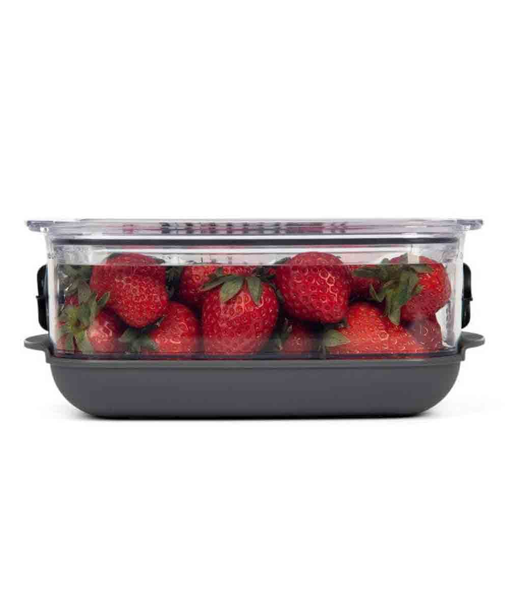 Progressive Berry Produce Food Storage Prokeeper+