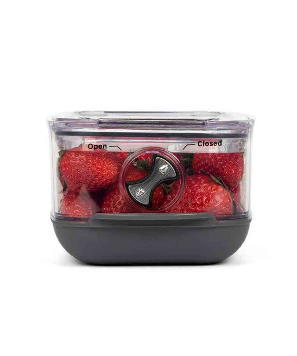 Progressive Berry Produce Food Storage Prokeeper+