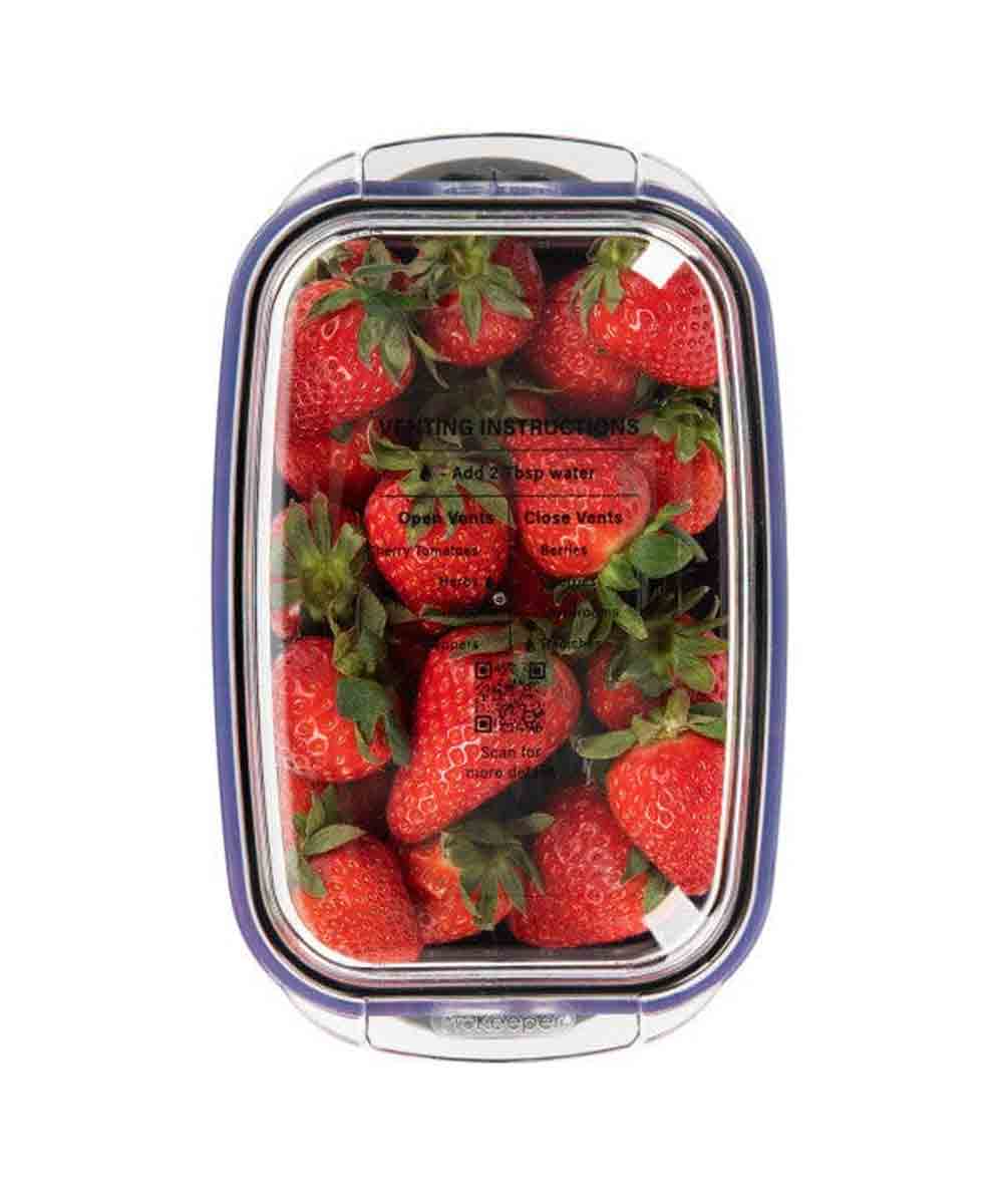 Progressive Berry Produce Food Storage Prokeeper+